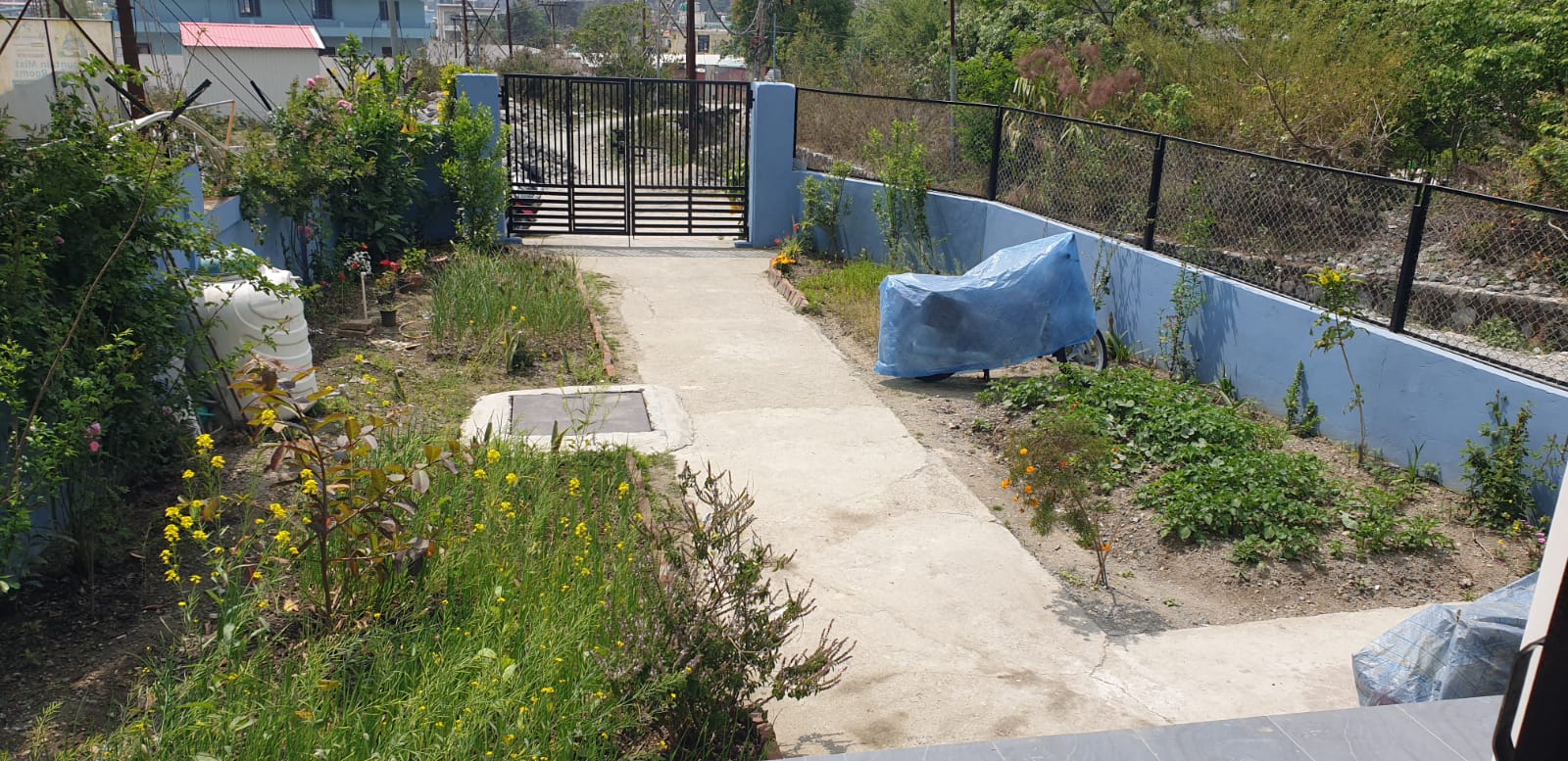 Garden pathway inside the compound