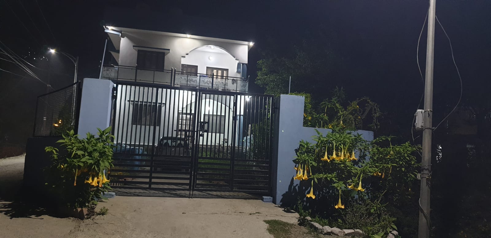 Night exterior variant